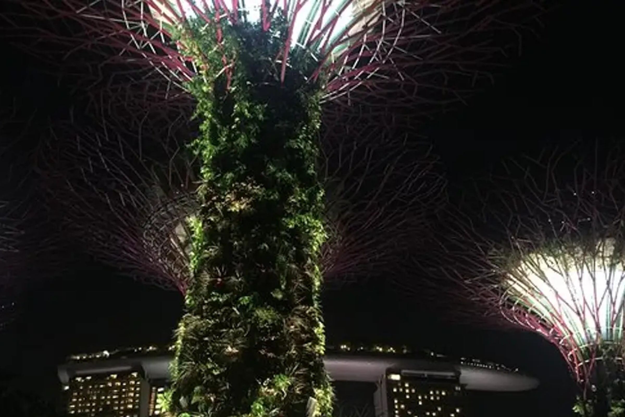 Singapore Private Night Tour